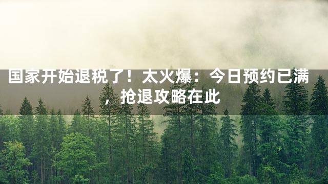国家开始退税了！太火爆：今日预约已满，抢退攻略在此