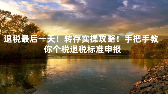 退税最后一天！转存实操攻略！手把手教你个税退税标准申报