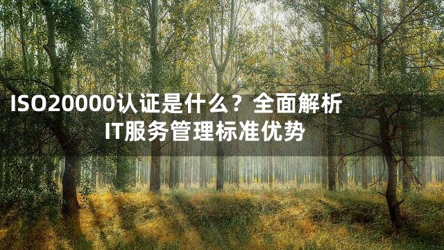 ISO20000认证是什么？全面解析IT服务管理标准优势