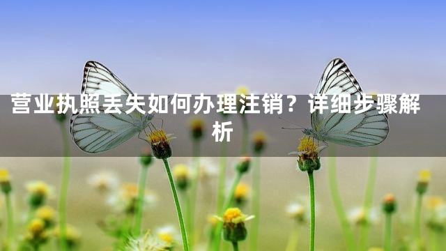 营业执照丢失如何办理注销？详细步骤解析