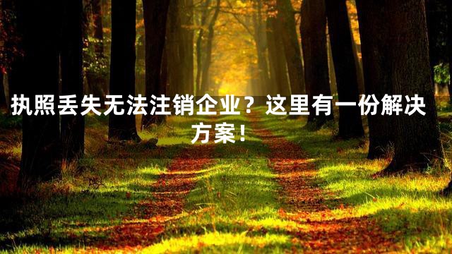 执照丢失无法注销企业？这里有一份解决方案！