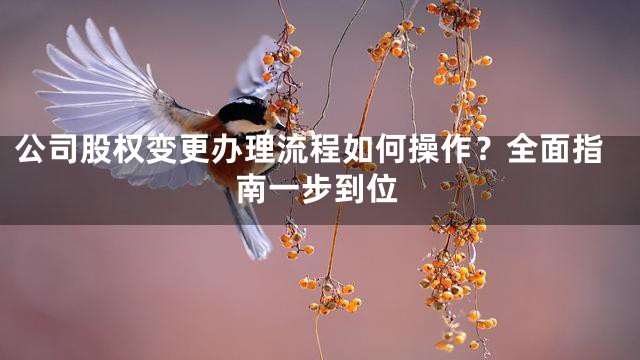 公司股权变更办理流程如何操作？全面指南一步到位