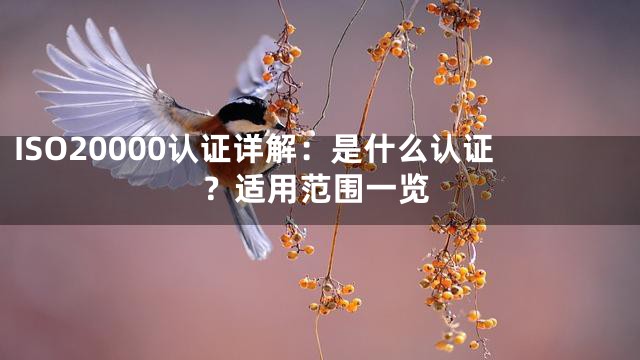 ISO20000认证详解：是什么认证？适用范围一览