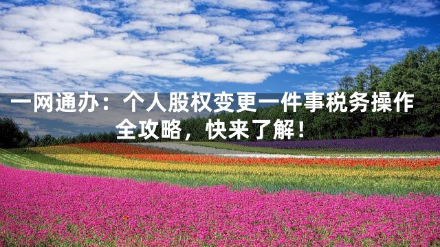 一网通办：个人股权变更一件事税务操作全攻略，快来了解！