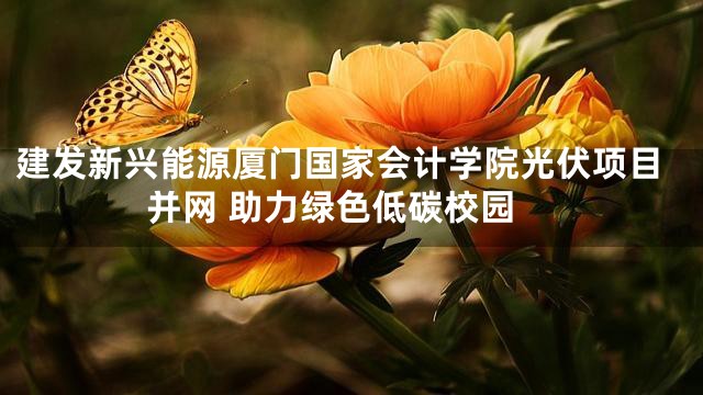 建发新兴能源厦门国家会计学院光伏项目并网 助力绿色低碳校园