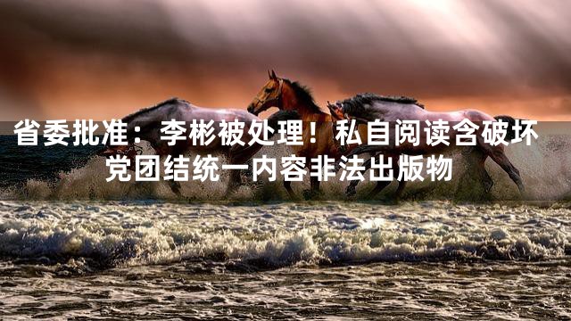省委批准：李彬被处理！私自阅读含破坏党团结统一内容非法出版物