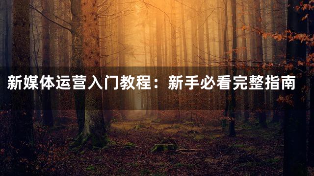 新媒体运营入门教程：新手必看完整指南