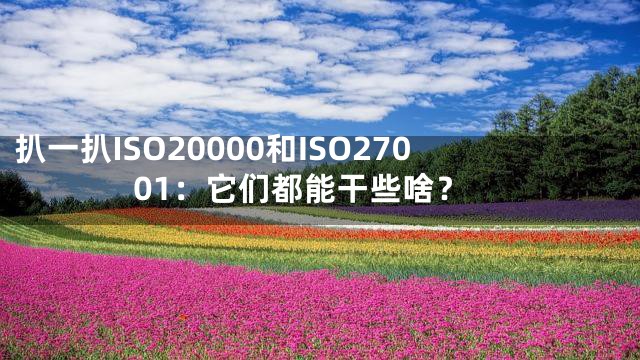 扒一扒ISO20000和ISO27001：它们都能干些啥？