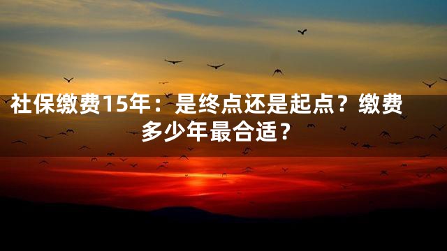 社保缴费15年：是终点还是起点？缴费多少年最合适？