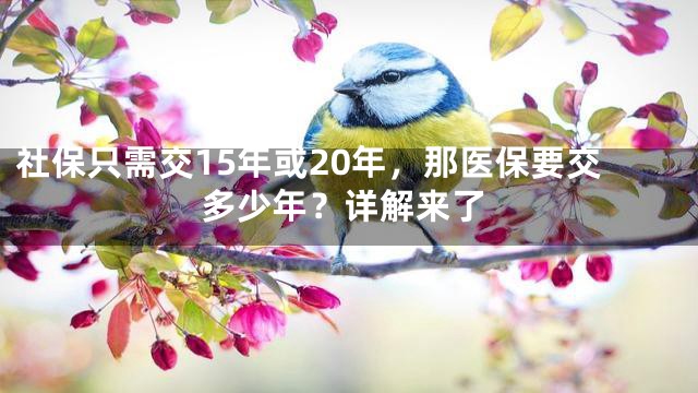 社保只需交15年或20年，那医保要交多少年？详解来了