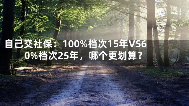 自己交社保：100%档次15年VS60%档次25年，哪个更划算？