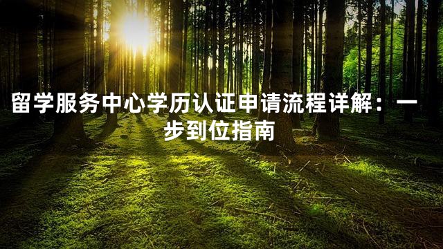 留学服务中心学历认证申请流程详解：一步到位指南