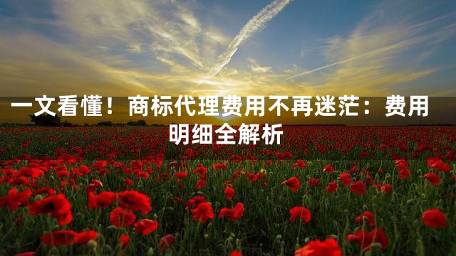 一文看懂！商标代理费用不再迷茫：费用明细全解析