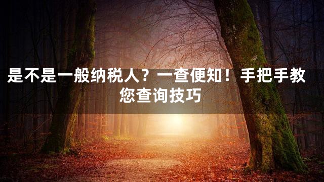 是不是一般纳税人？一查便知！手把手教您查询技巧