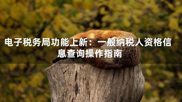 电子税务局功能上新：一般纳税人资格信息查询操作指南