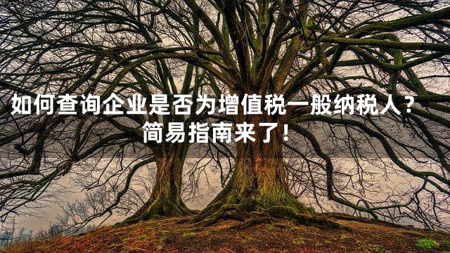 如何查询企业是否为增值税一般纳税人？简易指南来了！