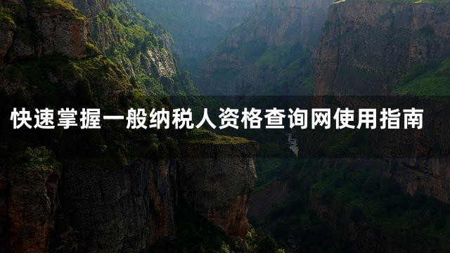 快速掌握一般纳税人资格查询网使用指南