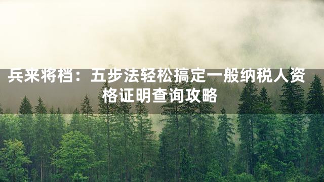 兵来将档：五步法轻松搞定一般纳税人资格证明查询攻略