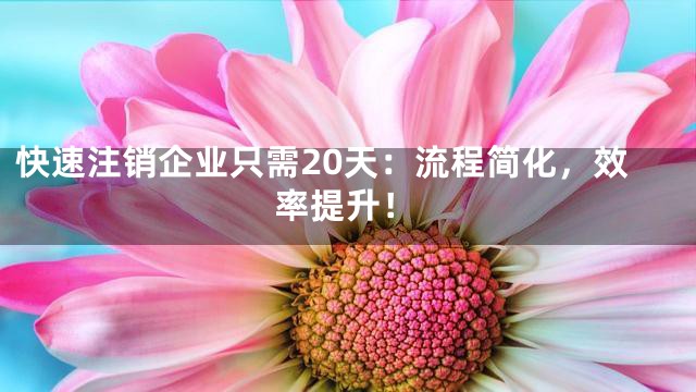 快速注销企业只需20天：流程简化，效率提升！