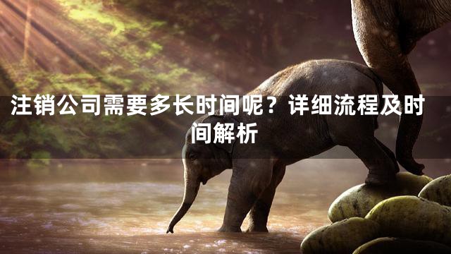 注销公司需要多长时间呢？详细流程及时间解析