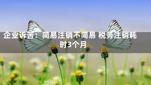 企业诉苦：简易注销不简易 税务注销耗时3个月