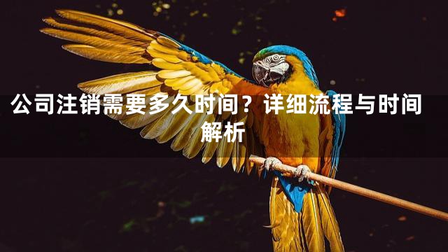 公司注销需要多久时间？详细流程与时间解析