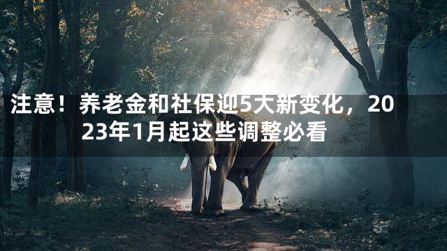 注意！养老金和社保迎5大新变化，2023年1月起这些调整必看