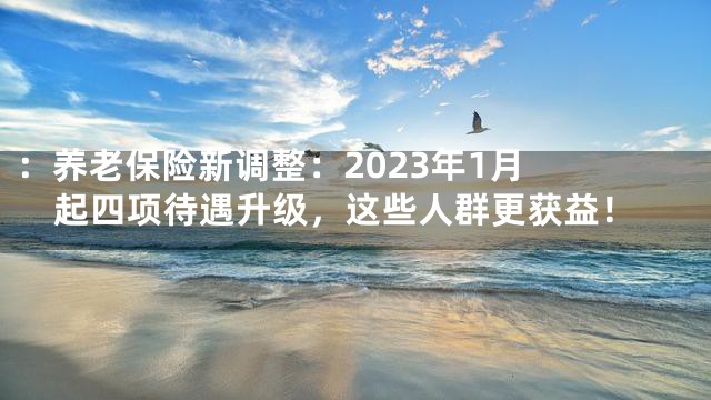 ：

养老保险新调整：2023年1月起四项待遇升级，这些人群更获益！