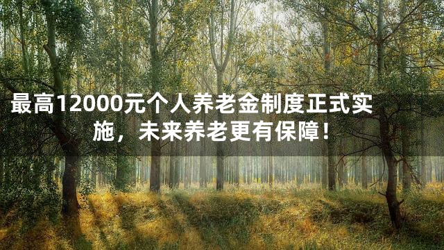 最高12000元个人养老金制度正式实施，未来养老更有保障！