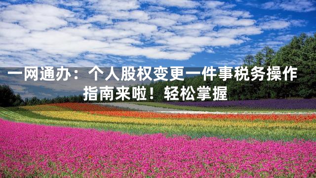 一网通办：个人股权变更一件事税务操作指南来啦！轻松掌握