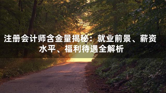 注册会计师含金量揭秘：就业前景、薪资水平、福利待遇全解析