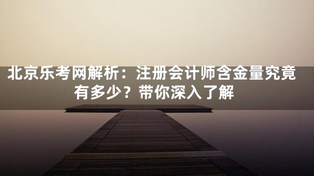 北京乐考网解析：注册会计师含金量究竟有多少？带你深入了解