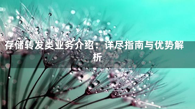 存储转发类业务介绍：详尽指南与优势解析
