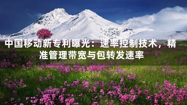 中国移动新专利曝光：速率控制技术，精准管理带宽与包转发速率