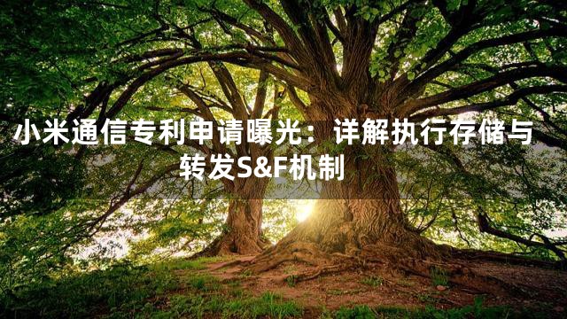 小米通信专利申请曝光：详解执行存储与转发S&F机制
