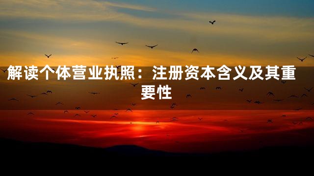 解读个体营业执照：注册资本含义及其重要性