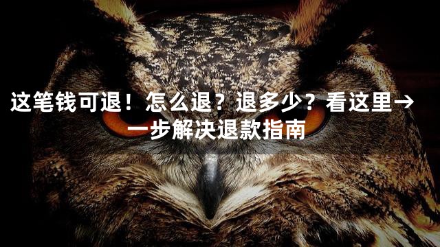 这笔钱可退！怎么退？退多少？看这里→一步解决退款指南
