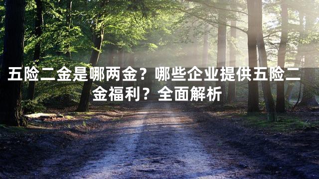 五险二金是哪两金？哪些企业提供五险二金福利？全面解析