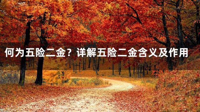 何为五险二金？详解五险二金含义及作用
