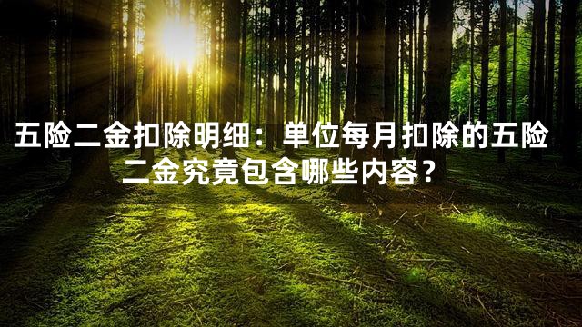 五险二金扣除明细：单位每月扣除的五险二金究竟包含哪些内容？