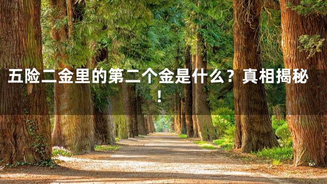 五险二金里的第二个金是什么？真相揭秘！