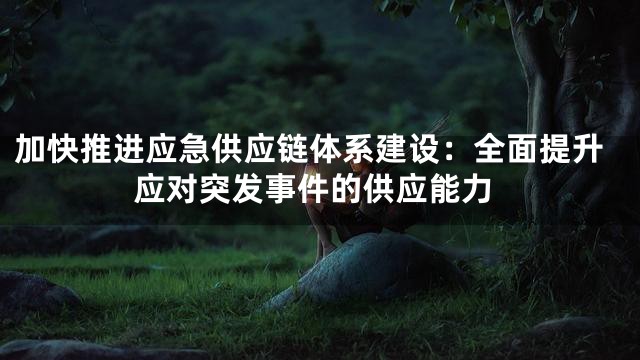 加快推进应急供应链体系建设：全面提升应对突发事件的供应能力