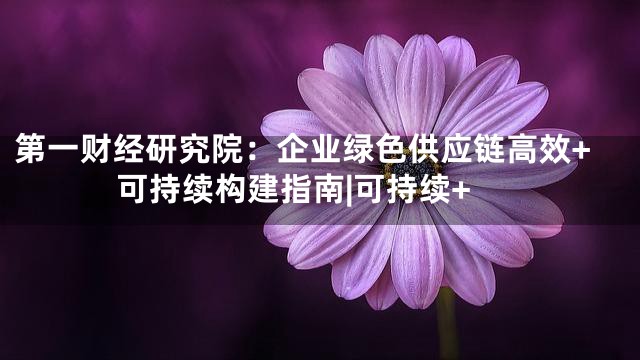 第一财经研究院：企业绿色供应链高效+可持续构建指南|可持续+