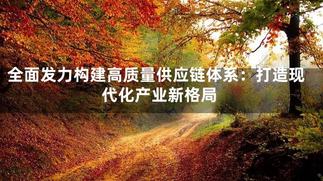 全面发力构建高质量供应链体系：打造现代化产业新格局