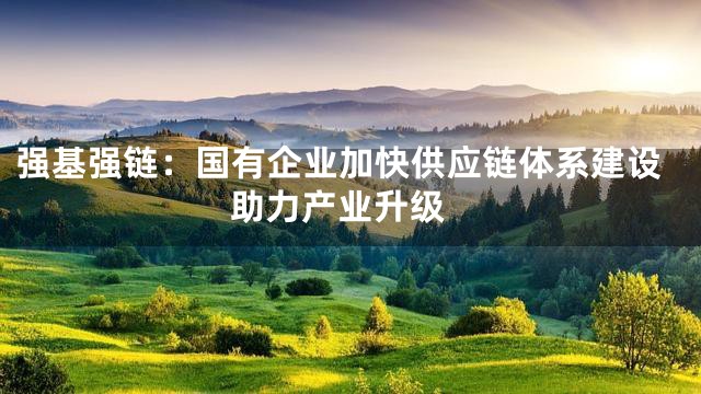 强基强链：国有企业加快供应链体系建设 助力产业升级