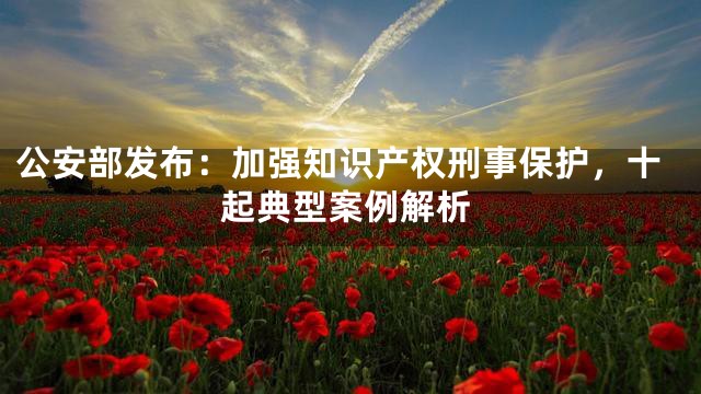 公安部发布：加强知识产权刑事保护，十起典型案例解析