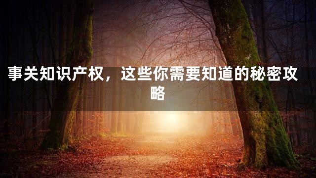 事关知识产权，这些你需要知道的秘密攻略