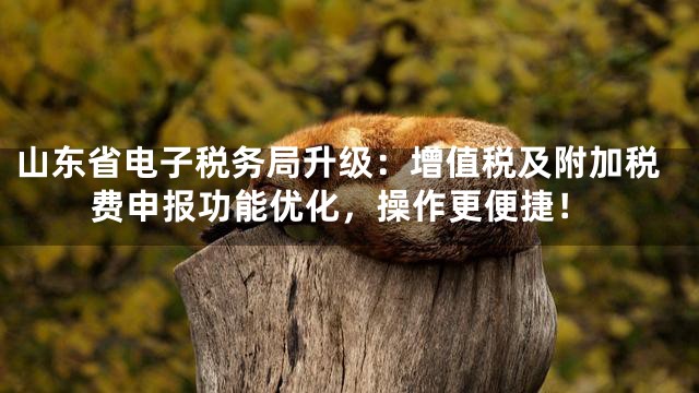 山东省电子税务局升级：增值税及附加税费申报功能优化，操作更便捷！