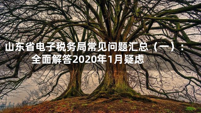 山东省电子税务局常见问题汇总（一）：全面解答2020年1月疑虑