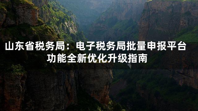 山东省税务局：电子税务局批量申报平台功能全新优化升级指南